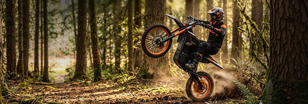 Electric Dirt Bikes For Teenager
