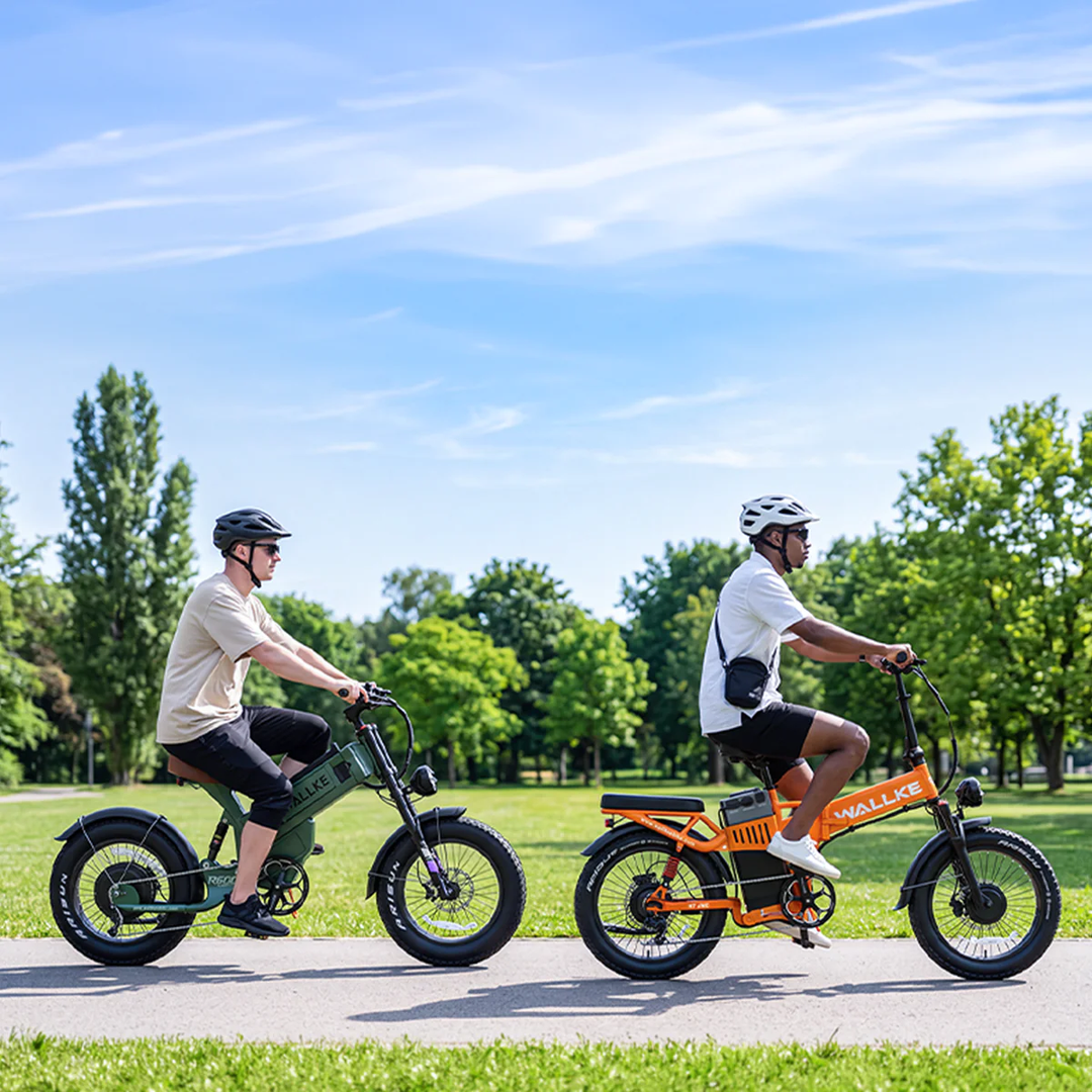 WALLKE EBIKES
