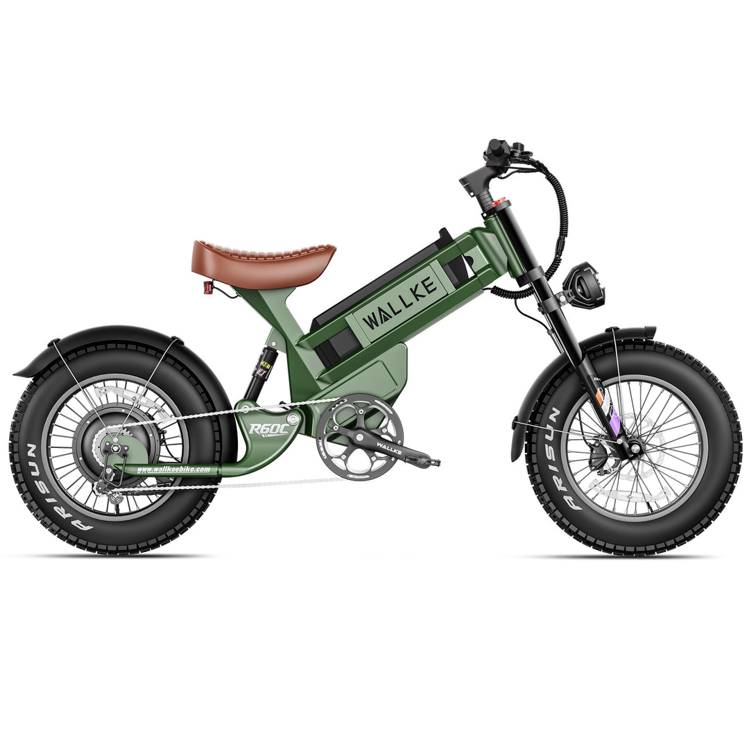 Wallke R60C Electric Bike for Male
