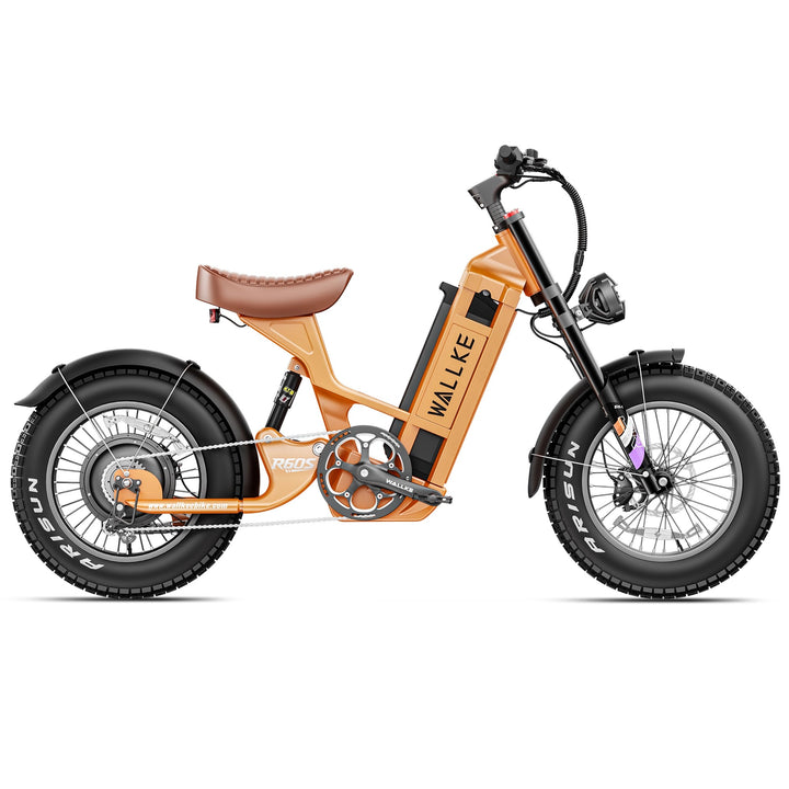 Wallke R60S Electric Bike for Female