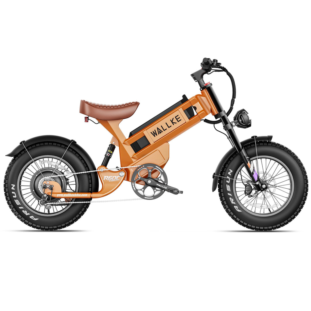 Wallke R60C Electric Bike for Male