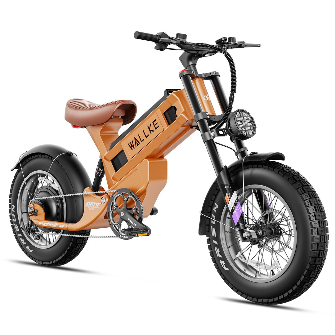 Wallke R60C Electric Bike for Male