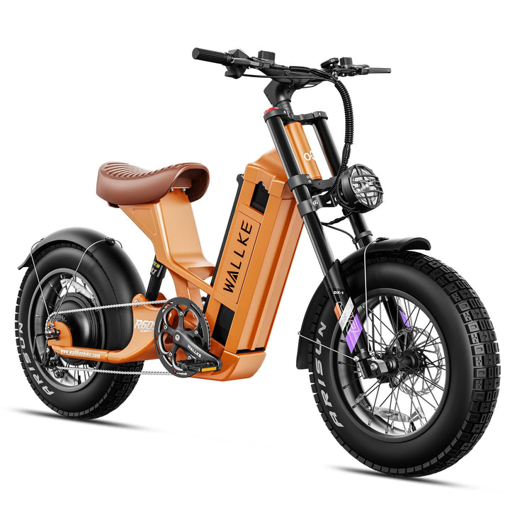 Wallke R60S Electric Bike for Female