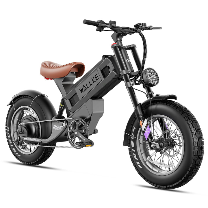Wallke R60C Electric Bike for Male