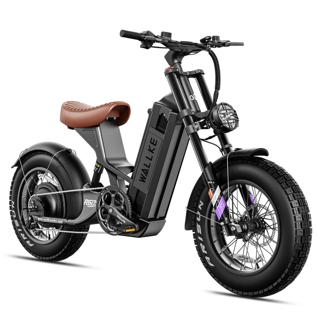Wallke R60S Electric Bike for Female
