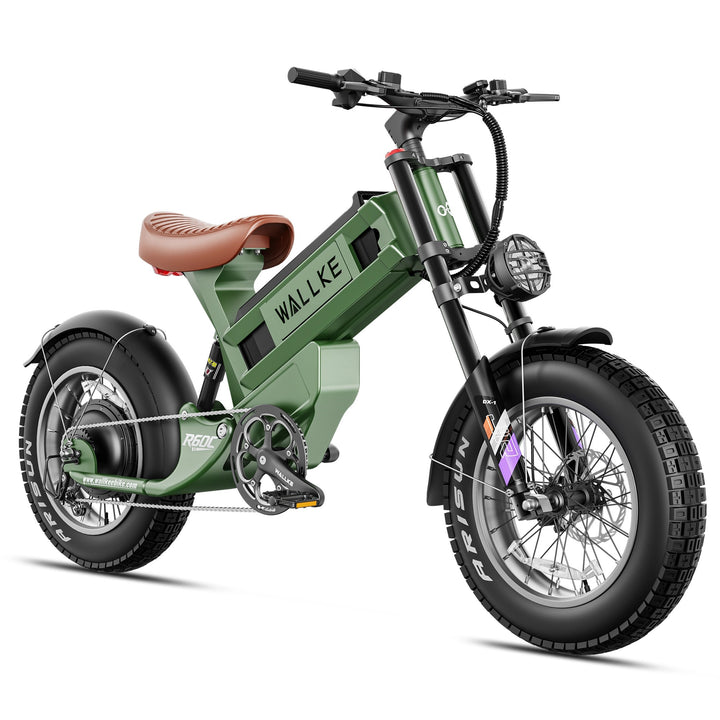 Wallke R60C Electric Bike for Male