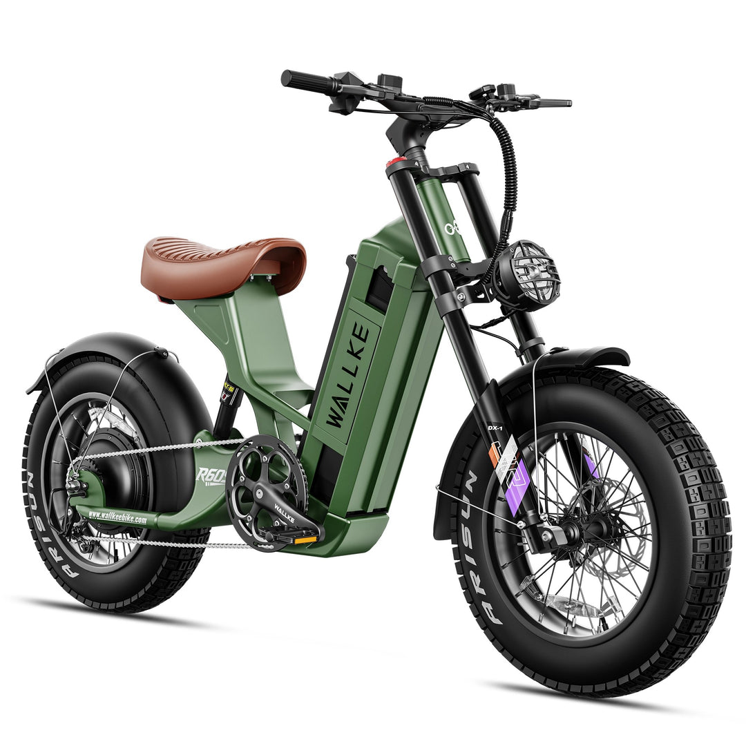 Wallke R60S Electric Bike for Female
